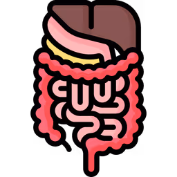 Gastrointestinal system
